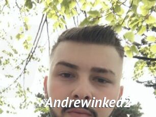 Andrewinked2