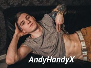 AndyHandyX