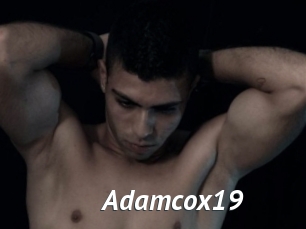 Adamcox19