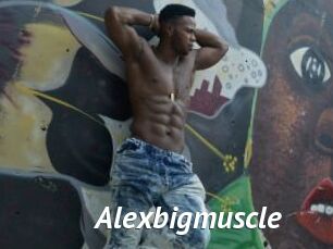 Alexbigmuscle