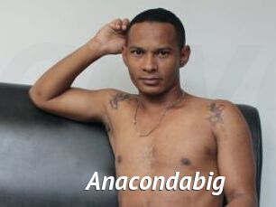 Anacondabig