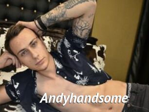 Andyhandsome