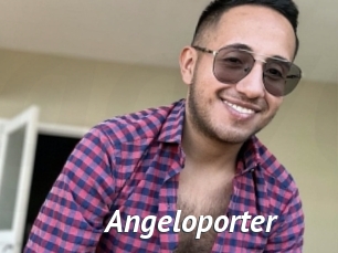 Angeloporter