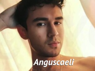 Anguscaeli