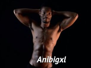 Anibigxl