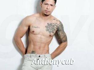 Anthonycub