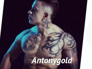 Antonygold