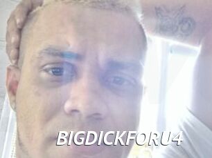 BIGDICKFORU4