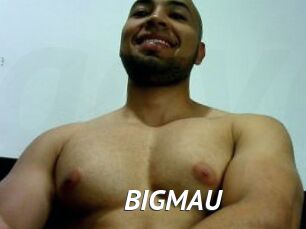 BIGMAU