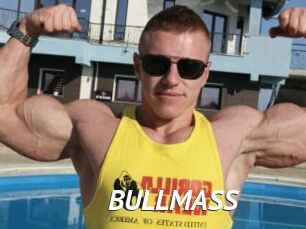 BULLMASS