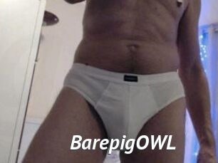 BarepigOWL