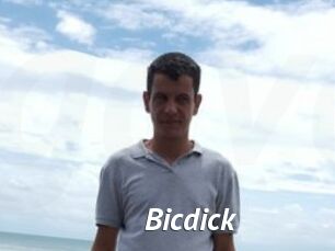 Bicdick