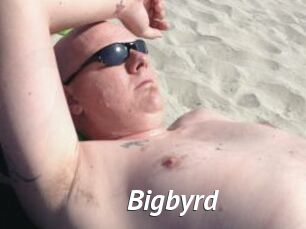 Bigbyrd