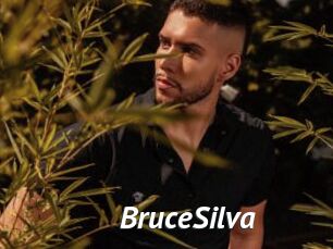 BruceSilva