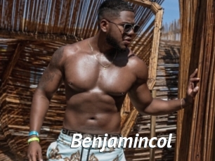 Benjamincol