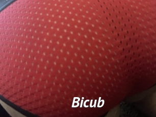 Bicub