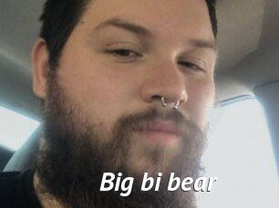 Big_bi_bear