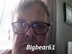 Bigbear61