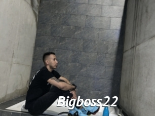 Bigboss22