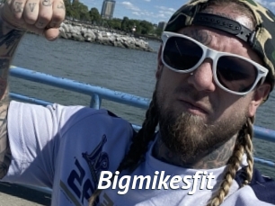 Bigmikesfit