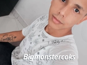 Bigmonstercoks