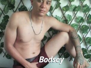 Bodsey