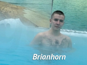 Brianhorn