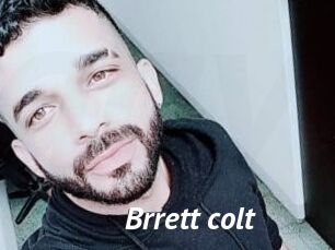 Brrett_colt