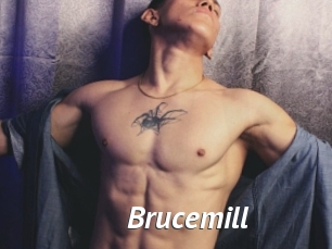 Brucemill