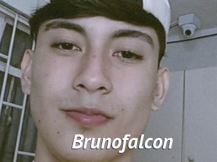 Brunofalcon