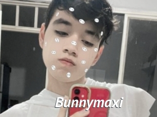 Bunnymaxi