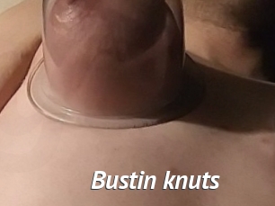 Bustin_knuts