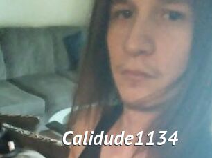 Calidude1134