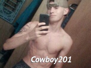 Cowboy201