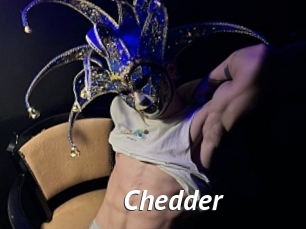 Chedder