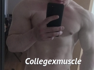 Collegexmuscle