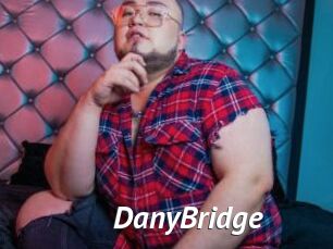 DanyBridge