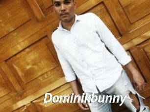 Dominikbunny