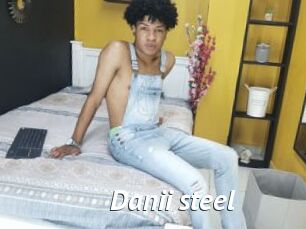 Danii_steel