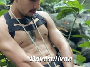 Davesulivan