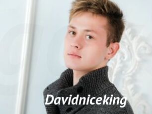 Davidniceking