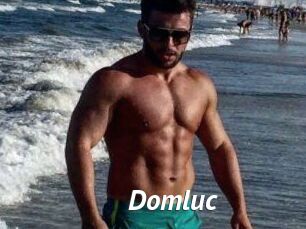 Domluc