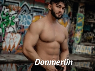 Donmerlin