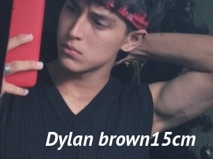 Dylan_brown15cm