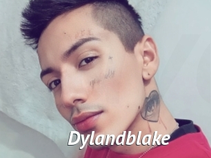 Dylandblake