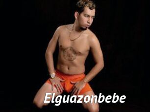 Elguazonbebe