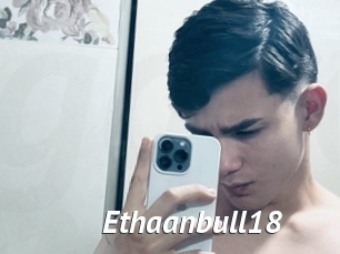 Ethaanbull18