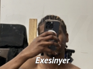 Exesinyer