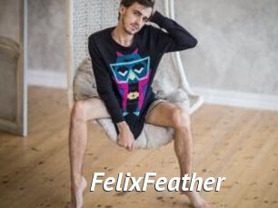 FelixFeather