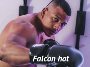 Falcon_hot